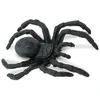 Image de Safari Ltd Mini Figurine Araignées Porte-bonheur