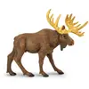 Image de Safari Ltd Figurine De La Faune Sauvage De L'orignal