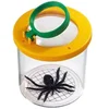 Image de Safari Ltd Comment Les Insectes Voient ! Figure