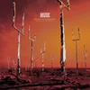Image de Origin of Symmetry (XX Anniversary Remixx)