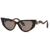 Image de Roberto Cavalli, gafas de sol (SRC128M), color: SHINY BROWN/YELLOW HAVANA (BROWN), 56/16/145, (Female)