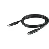 Image de Lenovo 4X90U90619 câble USB 1 m USB C Noir
