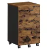 Image de VASAGLE Caisson Mobile, Classeur, 2 Tiroirs, Support d'Imprimante