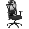 Image de Chaise de bureau ergonomique en maille avec soutien lombaire réglable, 150 kg, noir encre