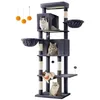 Image de Feandrea Grand Arbre à Chat, 190 cm, Multi-Niveaux, 2 Niches, 2 Paniers
