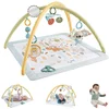 Image de Fisher Price Animaux Gym Sensimals