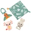 Image de Fisher Price Coffret Cadeau Sensimals
