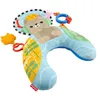 Image de Fisher-Price Coussin Sensoriel Jeu À Plat Ventre avec Anneau de Dentition et hochet, pour bébés dès la Naissance, JHB44