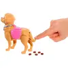 Image de Barbie Poupée Malibu And Her Little Dog Poop