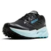 Image de BROOKS Cascadia 19 GTX Sneaker