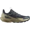 Image de SALOMON Elixir Activ Carbon/Green/Gray 46