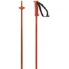 Image de Salomon Polar Cherry Tomato 125