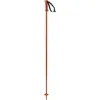 Image de Salomon Polar Cherry Tomato 115