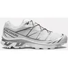 Image de Xt-6 Gore-tex Blanc/argent