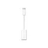 Image de APPLE USB-C To Lightning Adapter MUQX3ZM/A