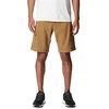 Image de Short cargo Columbia Silver Ridge Utility pour homme