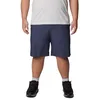 Image de Columbia Washed Out Short de randonnée, Encre Indienne, 34W x 10L Homme