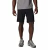 Image de Short Columbia Silver Ridge Utility pour homme