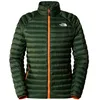Image de THE NORTH FACE Veste Bettaforca pour homme