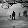 Image de Sony Music Entertainment France M.A.N (Black Roses & Lost Feelings)