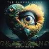 Image de Look at You Now