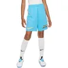 Image de Nike DF Short, Bleu Baltique/Blanc, 158-170 Mixte Enfant