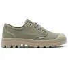 Image de Palladium Pampa Ox
