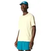 Image de THE NORTH FACE Summit High Trail T-Shirt Gravel XL