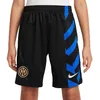 Image de NIKE Inter Milan Shorts Inter Youths NK DF Short Stad HM, Black/Lyon Blue/White, FN9188-010, XL