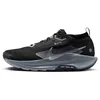 Image de Nike Pegasus Trail 5 Gore-TEX Black/Wolf Grey-Cool Grey-Anthracite 46 EU