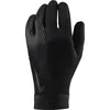 Image de Nike Academy Gloves
