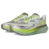 Image de Hoka One One 1141470F-STLV Clifton 9 GTX Homme Slate/Aloe Vera EU 40