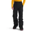 Image de The North Face Freedom Insulated Pantalon pour Homme TNF Black/Npf M