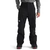 Image de The North Face Freedom Pantalon pour Hommes TNF Black/Npf S