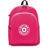 Image de Kipling Curtis L Grand Sac à Dos, Resort Pink C (Rose)