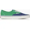 Image de Authentic Vert/bleu