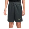 Image de Nike DF Acd25 7In -Pd Shorts pour Enfants Seaweed/Black/Limelight 7/8 Ans