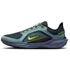 Image de NIKE Pegasus 41 Gore-TEX Men s Running Shoes