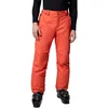 Image de Columbia Bugaboo 5 Pantalon de Ski pour Homme, Zing, L/R