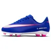 Image de Nike JR Vapor 16 Club FG/MG Soccer Shoes