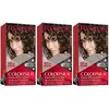 Image de Revlon Colorsilk Beautiful Color Coloration Permanente Des Cheveux Avec Technologie Au Gel 3D Et Kératine, Teinture Avec Couvrance à 100% Des Cheveux Blancs, 30 Châtain Foncé (Lot de 2)