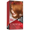 Image de Revlon - ColorSilk Beautiful Color Coloration permanente 1 pieces Marron unisex
