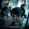 Image de Harry Potter and the Deathly Hallows, Pt.1 (Indie Exclusive)