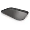 Image de NINJA Plancha pour Barbecue électrique Ninja Woodfire XL XSKOGXLFPLTEU