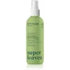 Image de Attitude Super Leaves Avocado Oil & Olive Leaves spray pour des cheveux faciles à démêler pour cheveux normaux à secs 240 ml
