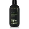 Image de Attitude Super Leaves Matcha & Bergamot shampoing et après-shampoing 2 en 1 pour homme 415 ml