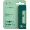Image de ATTITUDE Baume à lèvres hydratant lèvres sèches, Menthe, 8,5 g