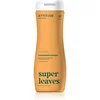 Image de Attitude Super Leaves Volume & Shine shampoing naturel à effet détoxifiant 473 ml