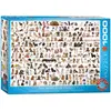 Image de Eurographics Puzzle 6000-0581.