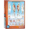 Image de Eurographics Puzzle Le Corps Humain (1000 pièces)